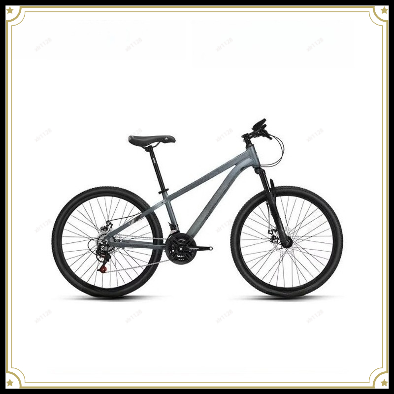 Commuting With Bike - 청소년을 위한 산악 자전거 가변 속도
