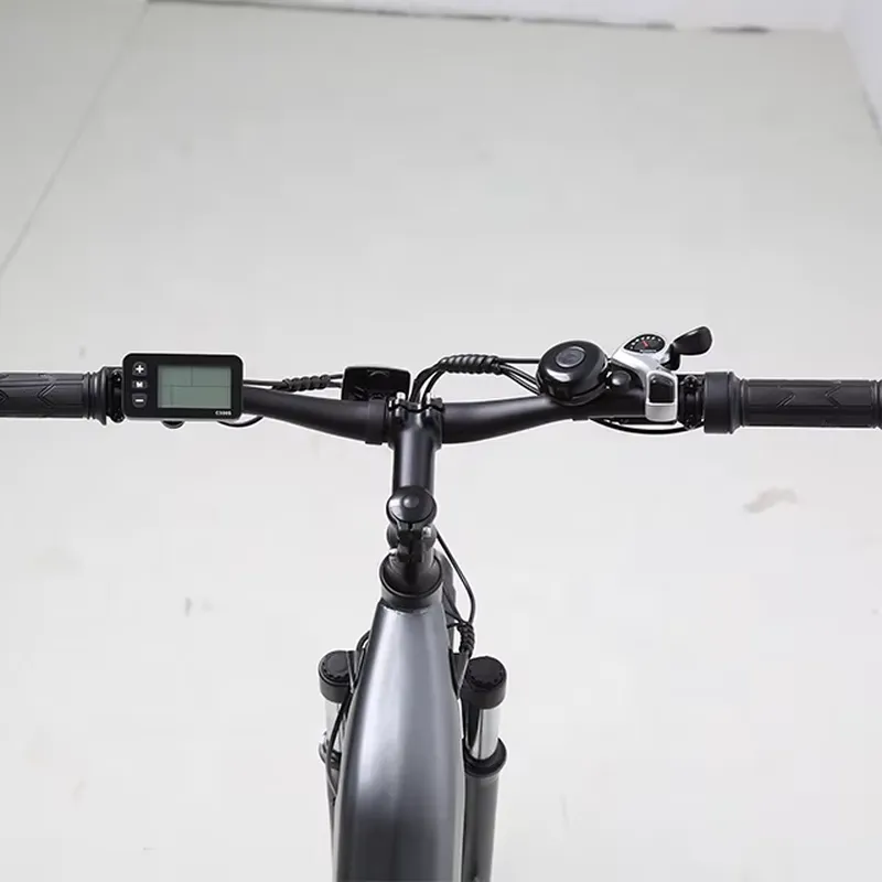 7단 변속 36V 250W 전기 자전거 도시 통근용 전 - Cycling Commute Speed 리뷰 및 가격