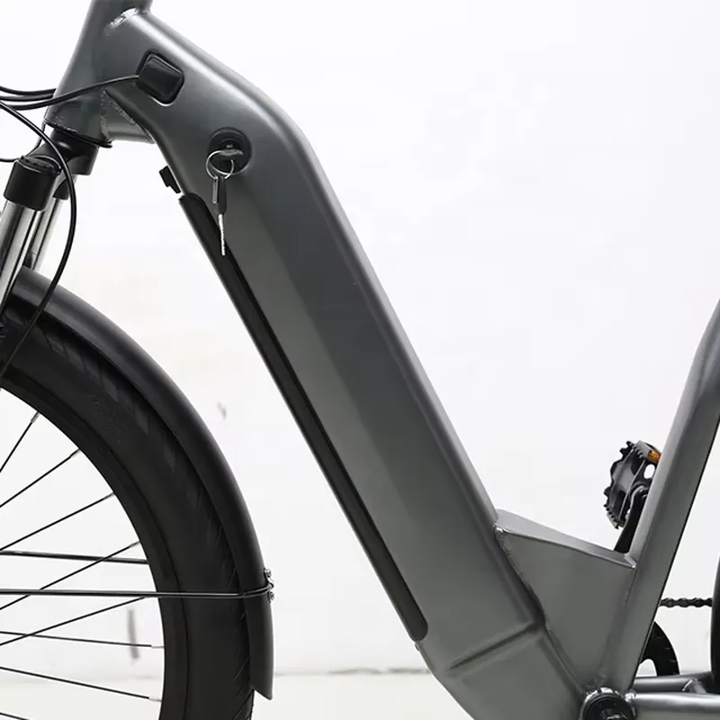 7단 변속 36V 250W 전기 자전거 도시 통근용 전 - Cycling Commute Speed 리뷰 및 가격